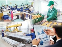 Кәсіпкерлік - халықтың ең көп жұмыспен қамтып отырған сала