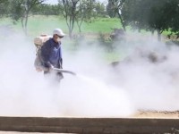 Қала кенеден тазаруда