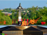 Ардагерлерге лайықты құрмет деп білеміз