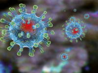 В Шымкенте пик пандемии коронавируса уже пройден