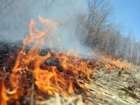 Особое внимание уделяется пожарной безопасности