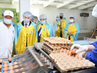 Өнімдер нарыққа делдалсыз   шығады