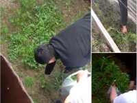 Ауласына қарасора еккен күдікті қамауға алынды