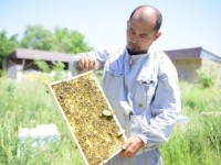 Шымкенттің өнімдеріне сұраныс жоғары