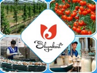 18 ауыл шаруашылық жобасы жүзеге асырылуда