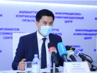 Шымкент: 500-ге жуық ерікті қоғамдық көліктерде тегін жүреді