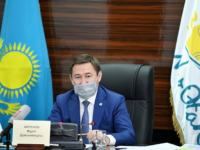 Мурат Айтенов объяснил почему в Шымкенте рубят деревья