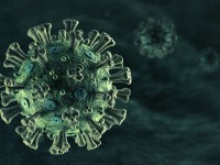 Covid-19 не регистрировался в Шымкенте последние сутки