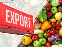 В текущем году Шымкент экспортировал сельхозпродукцию в 11 стран мира