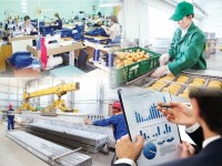 Бірқатар кәсіпкерлік нысандар жұмыстарын бастады