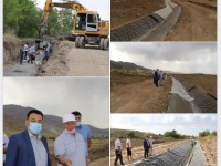 Түлкібас ауданында 564 гектар суармалы жер қайта айналымға қосылады