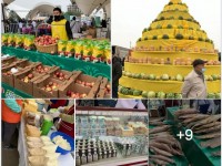 Түркістан облысына коронавируспен күрес шараларына 8,6 млрд теңге бөлінді. Оның ішінде медициналық