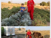 Көп балалы ана мемлекеттің көмегімен кәсіпкер атанды