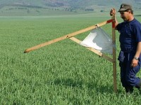 Ордабасы ауданында игерілмеген жерлер мемлекетке қайтарылды