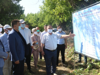 Бағбандар берекесі. Апорттың алғашқы өнімі жинала бастады