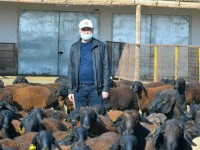 Төрт түлік онлайн саудалануда