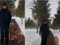 Президенттің тазы иттері туралы ақпарат жарияланды