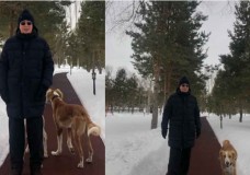 Президенттің тазы иттері туралы ақпарат жарияланды