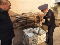 «Қару» жедел алдын алу іс-шарасы өтті