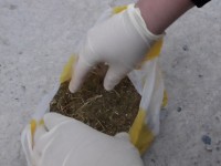 Түркістан облысының  полицейлері такси жолаушысынан  550 граммға жуық  есірткі затын тапты