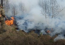 Орман өрті: Полиция күдіктінің табылғанын хабарлады