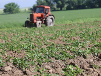 Түлкібастық шаруалар бір алқаптан 3 өнім алуды көздеп отыр
