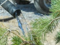 Ғалымдар «Жасыл аймаққа» қатысты ақыл-кеңестерін білдірді