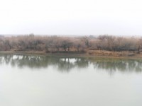 Түркістанда арт-инсталляция ашылды