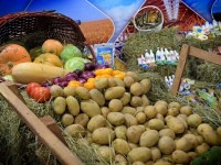 Сарыағаш ауданында өңірлік өнім көлемі 175 млрд теңгеге жеткен