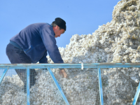 Түркістан: Жыл басынан бері 170 млрд.тг. ауыл шаруашылығы өнімі өндірілді