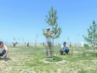 Ғалымдар Түркістанның «жасыл аймағын» құру бойынша өз ұсыныстарын білдірді