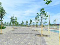 Түркістанның орман алқаптары екі есе ұлғайды