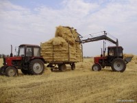 Мал азығын дайындауға баса мән берілуде