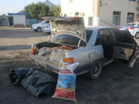 Түркістан облысының полицейлері заңсыз балық аулаған браконьерлерді ұстады