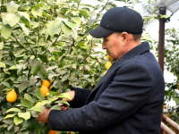 Ордабасылық шаруалар бір алқаптан екі-үш өнім алуды жоспарлап отыр