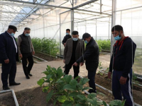 Сарыағашта теңдесі жоқ тәжірибе станциясы салынуда