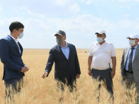 Мал азығы бағасын негізсіз өсіруге жол берілмейдІ