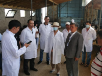 Ауылшаруашылығында ілгерілеу бар