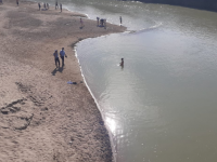 Түркістан облысының полицейлері  суға түсу қағидаларын бұзған 40 азаматқа хаттама толтырды