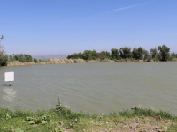 Түлкібаста балық шаруашылығы қарқынды дамуда