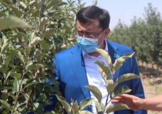 Мәжіліс депутаты Сырым Ертаев жұмыс сапарымен Түлкібас ауданында болды