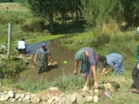 Жастар игі істі жалғастырды