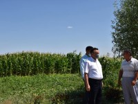 Грантпен кәсібін дөңгелетіп отыр