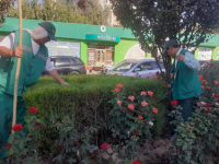 Көгалдандыру жұмыстары кестеге сай жүргізілуде