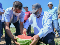 Түркістанның «Жасыл белдеуі» алғашқы өнім берді