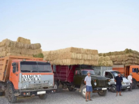 Қазығұрттықтар Қызылорда облысына 3 вагон мал азығын жіберді