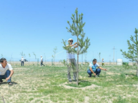 Түркістанда жасыл желектерді күтіп-баптау жұмыстары тәулік бойы жүргізілуде