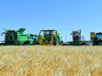 Түркістан облысында 5,5 млрд. теңгенің жобалары қаржыландырылды  