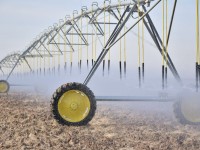 500 гектар аймақ жаңбырлатып суарылады