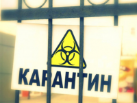 Түркістан облысының полицейлері апта ішінде карантин талаптарын бұзушылықтың 10 жайтын анықтады